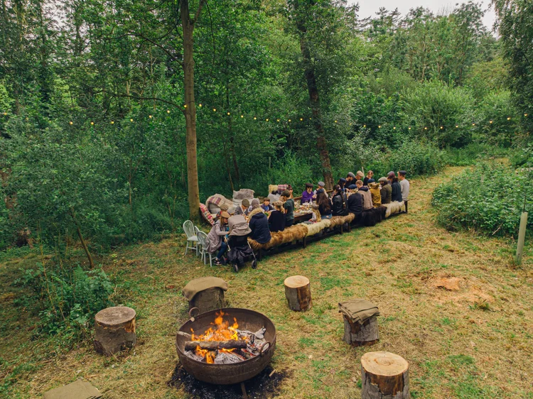 Cosmic Woodland Dining Experience
