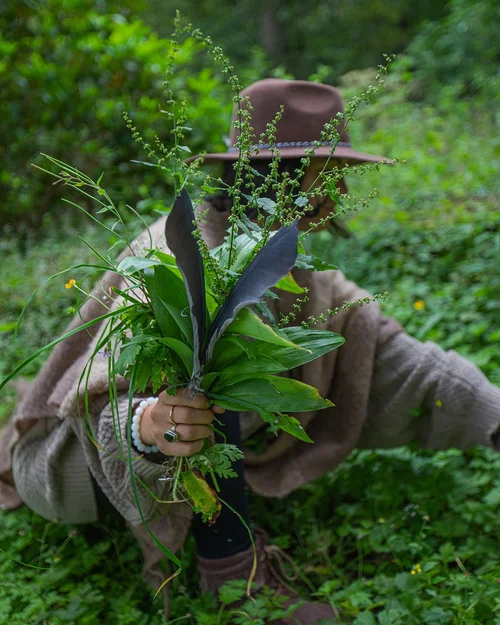 Forest Bathing & Foraging